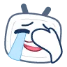 b19