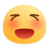 h11